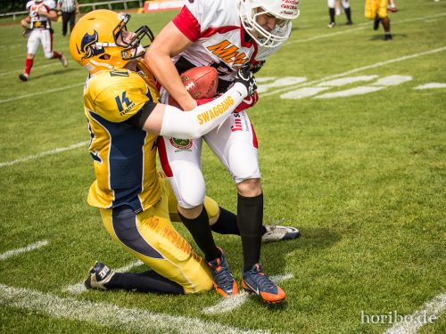 HR-17-06-03-14-56-02-8302