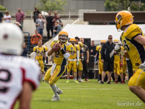 HR-17-06-03-15-11-27-8391