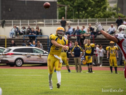 HR-17-06-03-15-11-28-8393