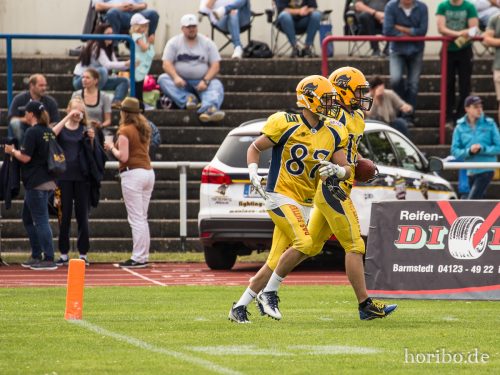 HR-17-06-03-15-15-40-8413