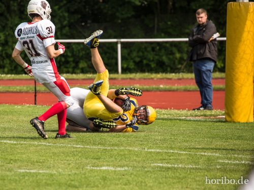 HR-17-06-03-15-37-15-8491