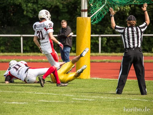 HR-17-06-03-15-37-15-8494