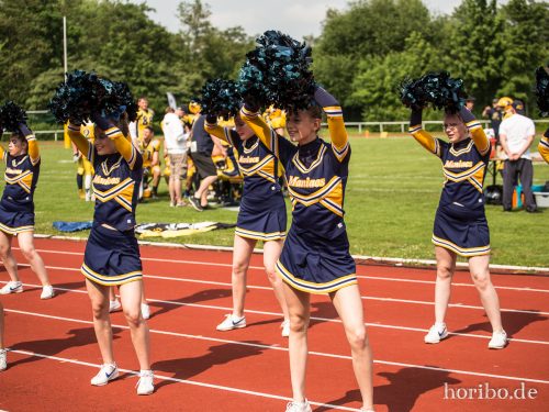 HR-17-06-03-15-54-35-8604