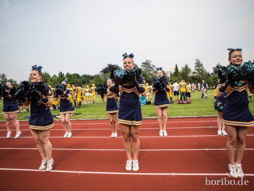 HR-17-06-03-16-26-00-8618