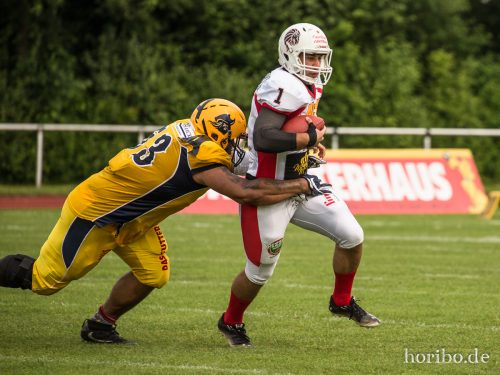 HR-17-06-03-16-33-44-8651