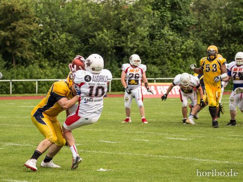 HR-17-06-03-16-34-44-8661