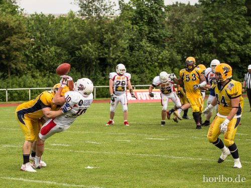 HR-17-06-03-16-34-45-8662