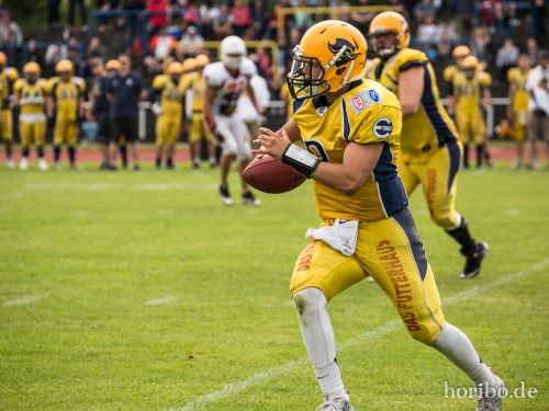 HR-17-06-03-16-38-56-8680