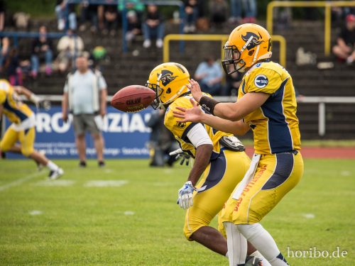 HR-17-06-03-16-45-08-8710