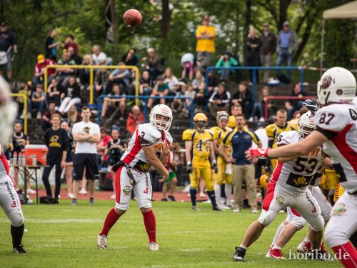 HR-17-06-03-16-46-50-8715