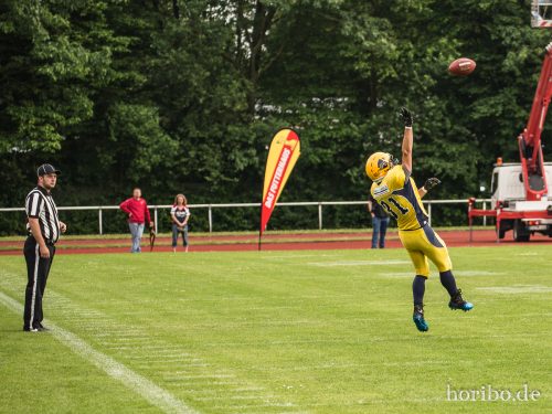 HR-17-06-03-16-52-57-8761