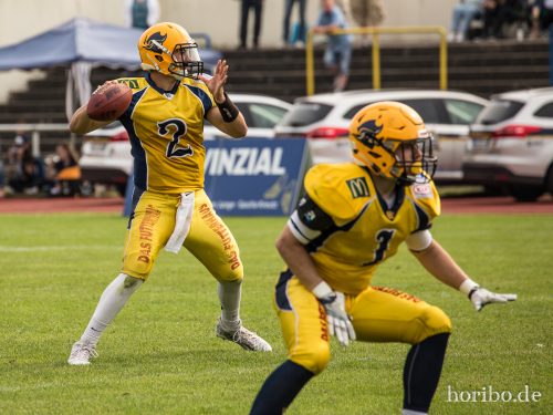 HR-17-06-03-16-58-52-8776