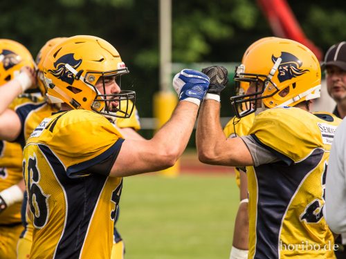 HR-17-06-03-17-10-35-8806