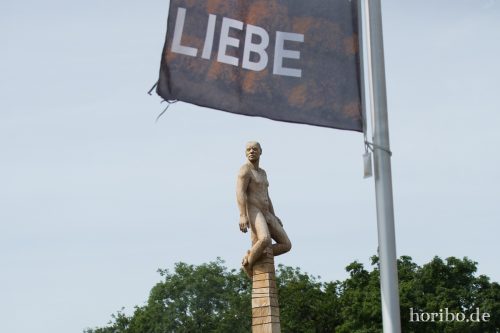 HR-17-06-08-10-40-24-8918