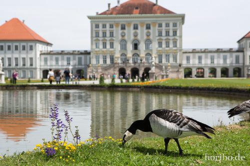 HR-17-06-08-13-22-46-8980