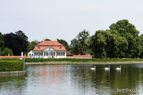 HR-17-06-08-13-33-37-8984