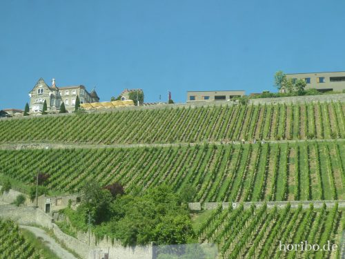 HR-17-06-11-14-47-17-1030741