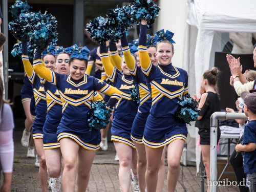 HR-17-06-17-14-52-54-9349