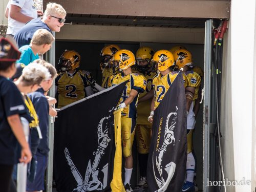 HR-17-06-17-14-54-59-9357