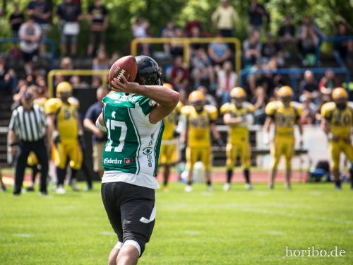 HR-17-06-17-15-03-22-9413