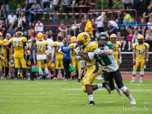 HR-17-06-17-15-06-19-9420