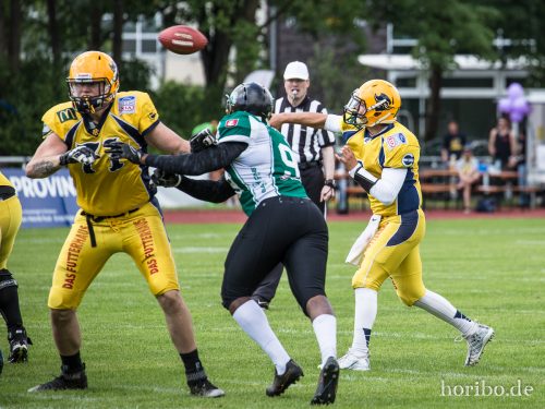 HR-17-06-17-15-09-22-9445