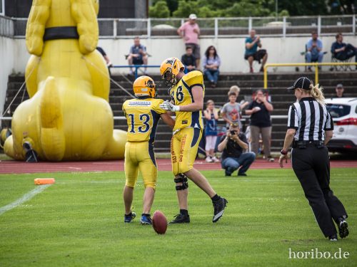 HR-17-06-17-15-10-16-9456