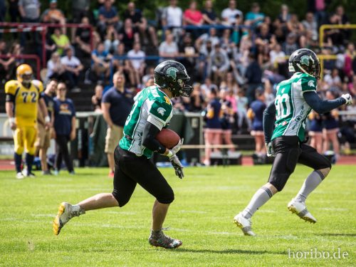 HR-17-06-17-15-12-11-9463