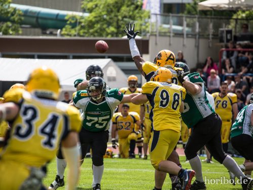 HR-17-06-17-15-19-07-9492