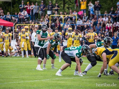 HR-17-06-17-15-21-41-9495