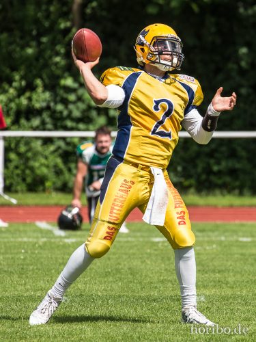 HR-17-06-17-15-29-04-9528