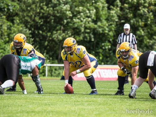 HR-17-06-17-15-33-16-9541