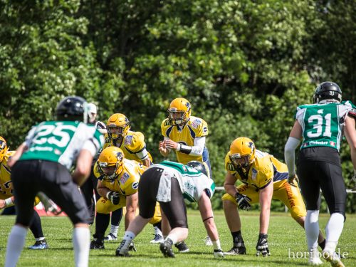 HR-17-06-17-15-34-04-9546