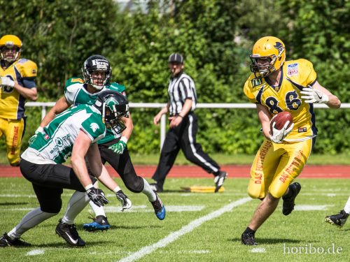 HR-17-06-17-16-12-05-9574