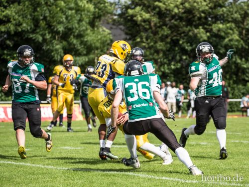 HR-17-06-17-16-16-17-9589