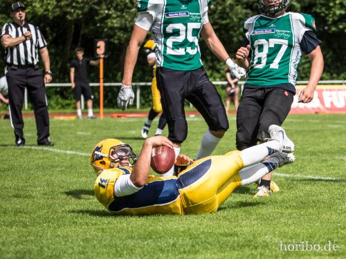 HR-17-06-17-16-16-17-9594