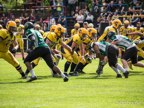 HR-17-06-17-16-41-20-9608