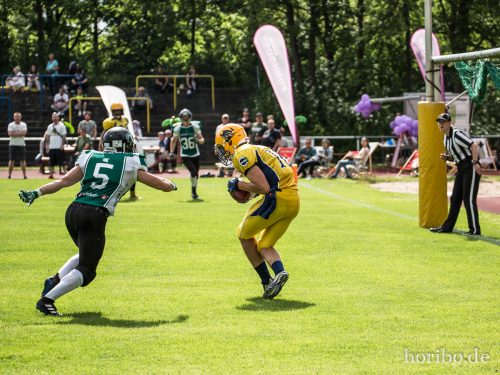 HR-17-06-17-16-41-24-9610