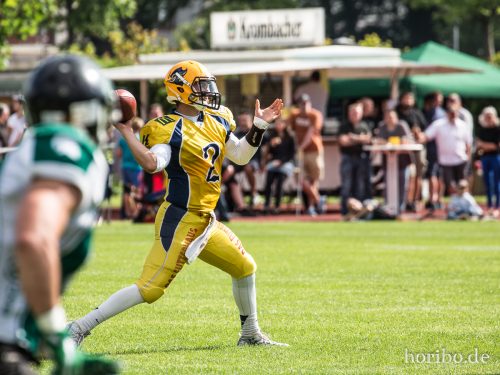 HR-17-06-17-16-49-46-9636