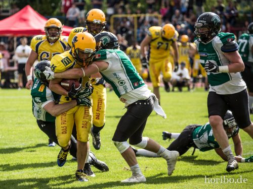 HR-17-06-17-16-51-17-9641