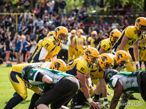 HR-17-06-17-16-51-56-9647