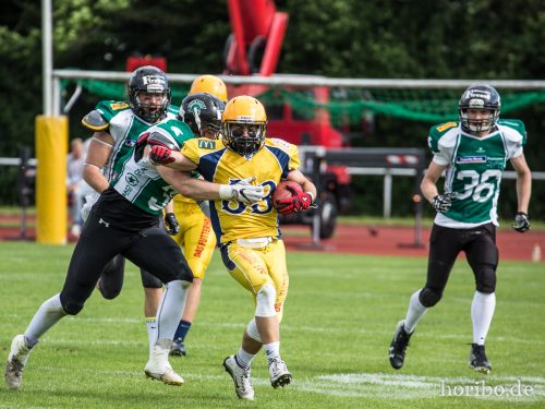 HR-17-06-17-17-01-06-9674