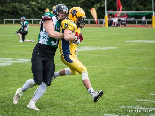 HR-17-06-17-17-03-12-9691