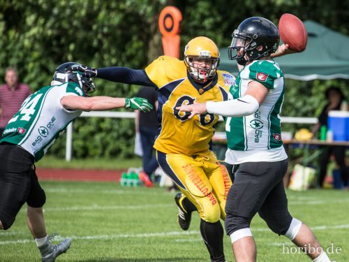 HR-17-06-17-17-11-52-9707