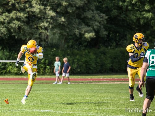 HR-17-06-17-17-16-18-9724