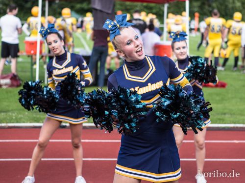 HR-17-06-17-17-29-49-9762