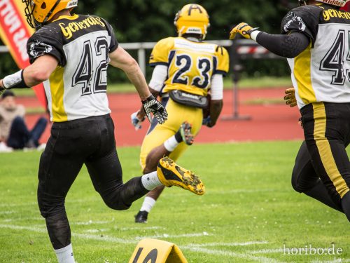 HR-17-07-01-15-33-52-9901