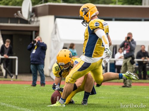 HR-17-07-01-15-34-29-9908