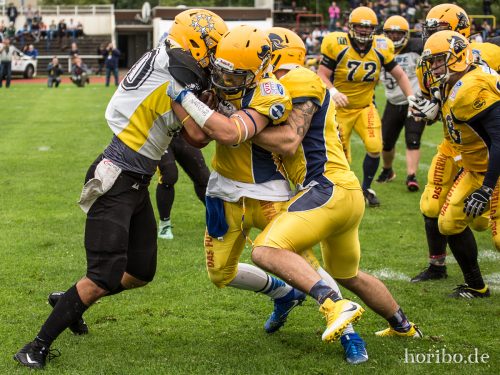 HR-17-07-01-15-38-42-9930