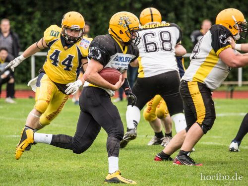 HR-17-07-01-16-13-46-0029